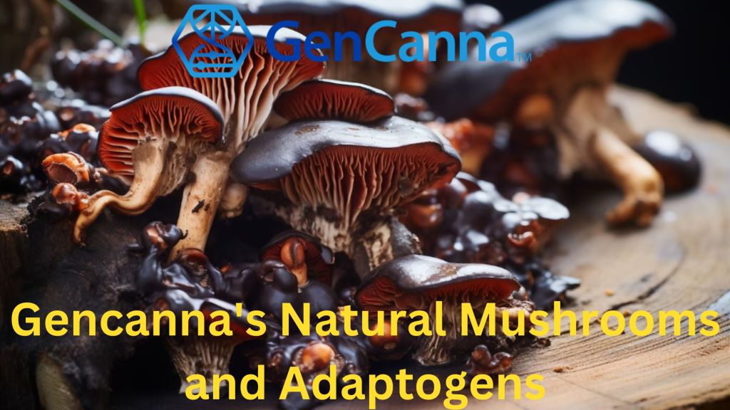 Gencanna’s Natural Mushrooms and Adaptogens